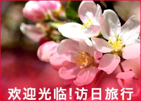 訪日旅游